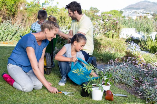 Lawn mowing and maintenance in Plumstead communal green