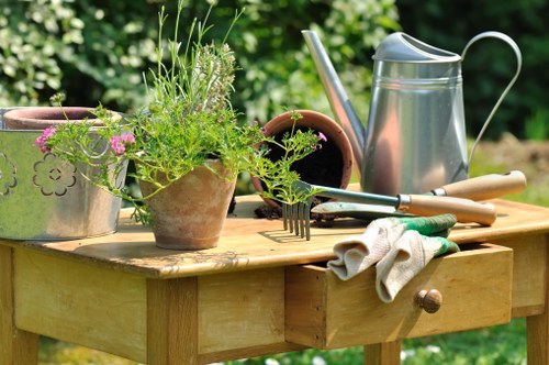 Close-up of a technician explaining garden plans using clear printed diagrams
