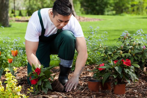 A garden scene showing a man kneeling on a mulch-covered bed, planting or tending to red flowering plants in terracotta pots. The garden is well-maintained with a lush green lawn, a stone bordered flower bed featuring orange tulips and other small flowering plants in the foreground, and a backdrop of mature trees and dense foliage. The overall environment appears bright and sunny, indicating clear weather conditions. This outdoor space demonstrates typical landscaping features, including flower arrangements and lawn areas, aligning with gardening services offered by companies like Gardening Services Plumstead, serving local communities in the Plumstead area. The scene emphasizes careful plant care and garden organization in a residential setting, showcasing a tidy and inviting landscaped yard with natural elements and vibrant colours.