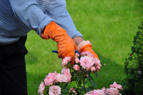 Sustainable landscaping practices in Plumstead with native plants