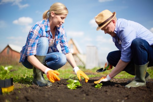 A woman and a man are working together in a garden, planting young green seedlings into freshly turned dark soil. The woman, dressed in a blue plaid shirt, blue jeans, and green rubber boots, is kneeling on the grass, using gardening gloves to handle the plants. The man, wearing a light blue shirt, dark trousers, rubber boots, and a straw hat, is also kneeling and carefully planting a seedling. The garden features a large lawn area with vibrant green grass, a neatly prepared planting bed, and a background of blue sky with a few clouds. In the distance, there are suburban houses and a wooden garden fence, indicating a residential outdoor space. The scene captures an outdoor gardening activity during daylight with natural sunlight illuminating the scene, highlighting the natural tones of the soil, plants, and greenery, subtly reflecting a professional gardening service focus in Plumstead. The image exemplifies lawn maintenance, planting, and outdoor landscaping efforts typical of local gardening service providers.