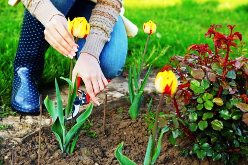 Beautiful Plumstead garden showcasing professional gardening services