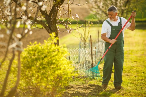 Well-maintained garden in Plumstead by expert gardeners